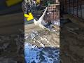 🦢 Man Rescues a Stranded Swan and Gains a Friend