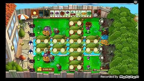 minimalist 12 cob | Pool Endless