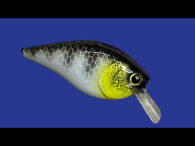 Crank Bait CRAPPIE BUG 1.5 Inch Fishing Lure Custom Paint 