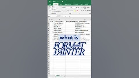 Format Painter in excel -what