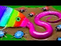 Mud Village Survival Battle - Guppies and eels - Stop Motion Fish In Mud Coco