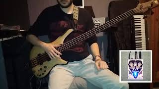 Wojtek Pilichowski - Milion Dni (Bass Cover)