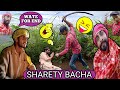 Sharety Bacha Chnu Munu Ishtiaq Dasi Comedy ЁЯШВЁЯдгЁЯдкЁЯШГ Sharety Bacha Chnu Munu Ishtiaq Dasi Comedy ЁЯШВЁЯдгЁЯдкЁЯШГ