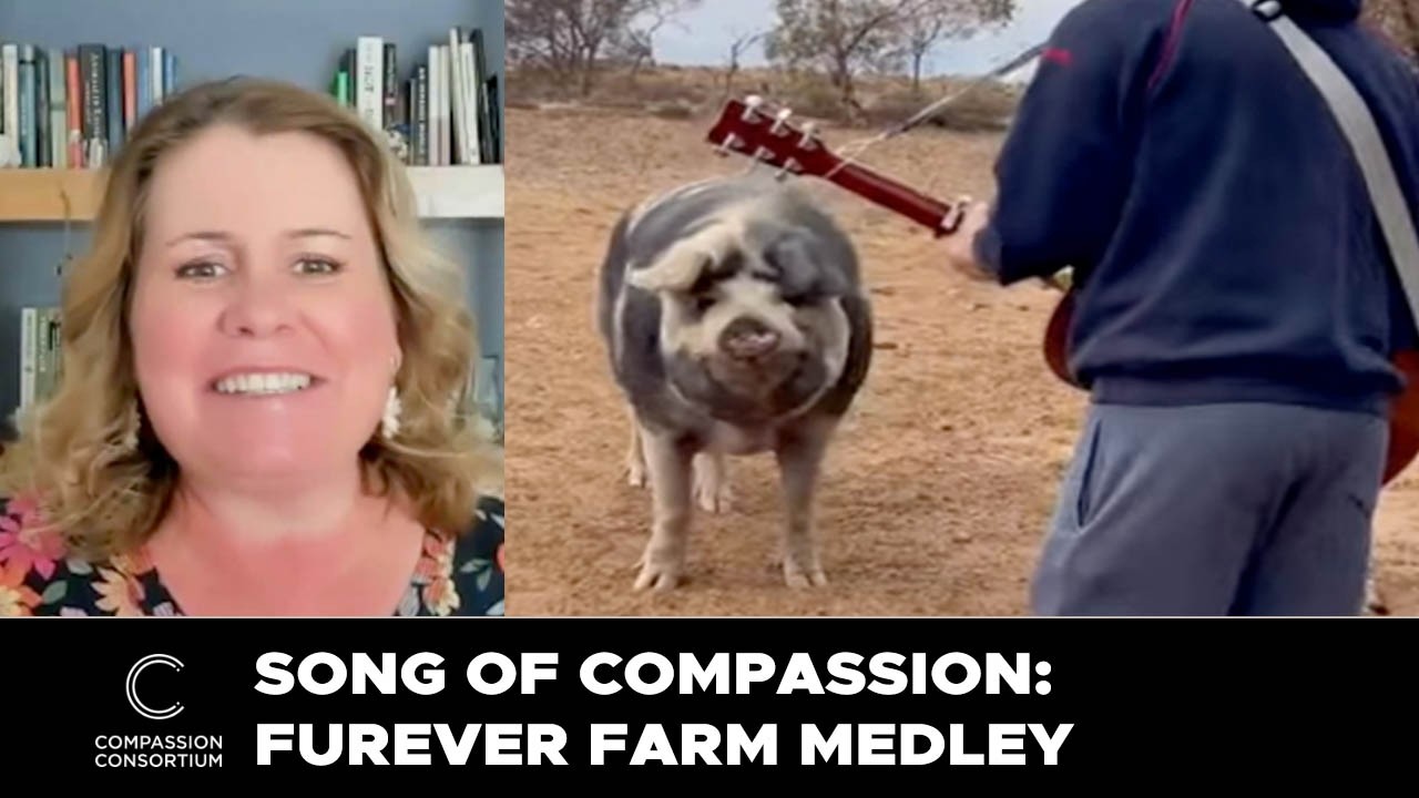 Songs Of Compassion - Furever Farm Medley