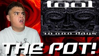 First Reaction To: TOOL- The Pot! | This was absolutely insane!