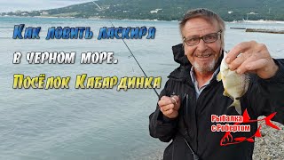видео: Кабардинка 17.06.2021. Как ловить ласкиря на чёрном море. картинка: Кабардинка 17.06.2021. Как ловить ласкиря на чёрном море.
