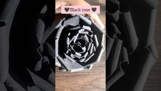 Black rose 🖤🌹#shorts #youtube