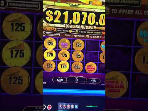 Noche de Casino Convencion Cancun