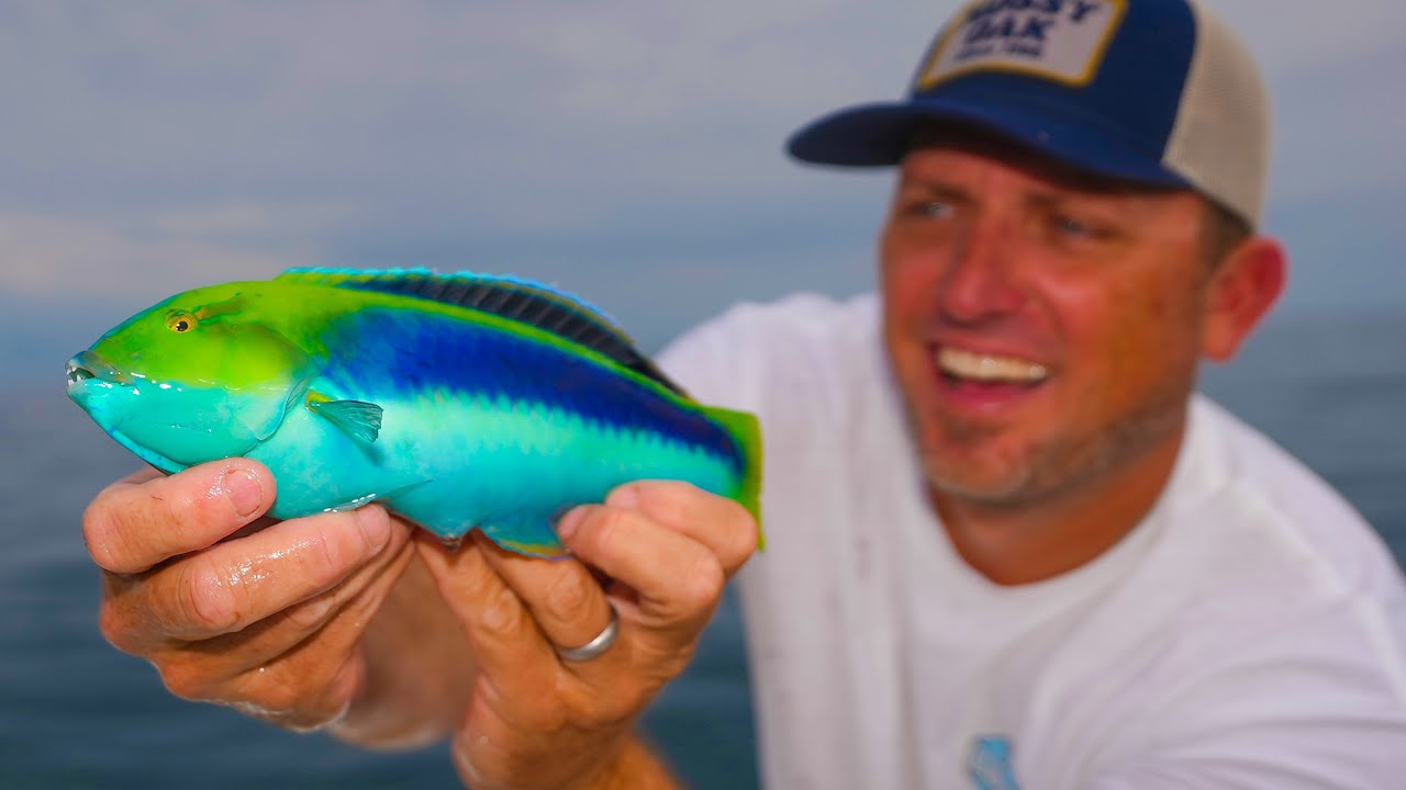 The MOST BEAUTIFUL Fish I've EVER SEEN! {Catch Clean Cook} Smoked ...