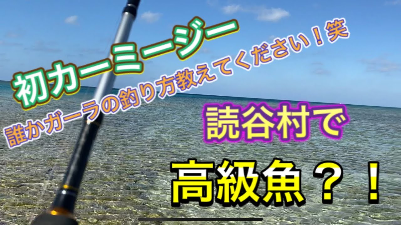 1日1魚チャンネル 初カーミージーそして読谷村で高級魚 沖縄ルアー釣り ライトゲーム 初心者 Youtube 1日1魚チャンネル 初カーミージーそして読谷村で高級魚 沖縄ルアー釣り ライトゲーム 初心者 Youtube