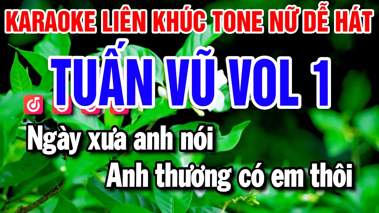 Karaoke Liên Khúc Tuấn Vũ Vol 1 |  Nhạc Sống Tone Nữ