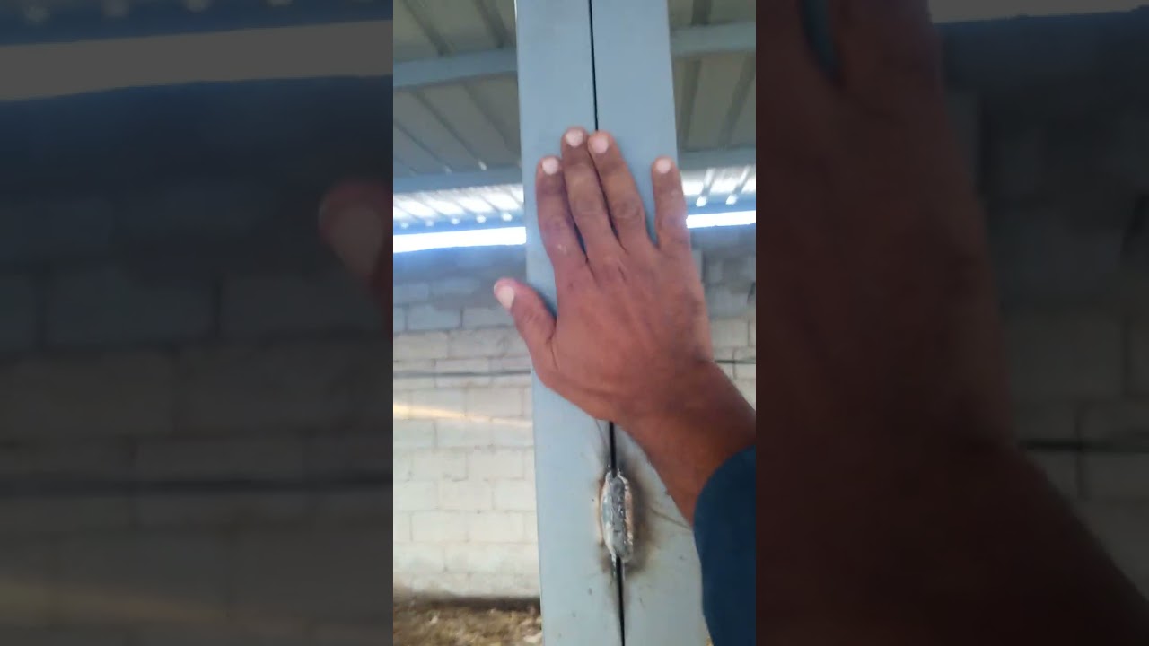 تكلفة بناء حقل الدجاج مع الكهربائيات وتمديدات الماء مساحة 150 متر مربع