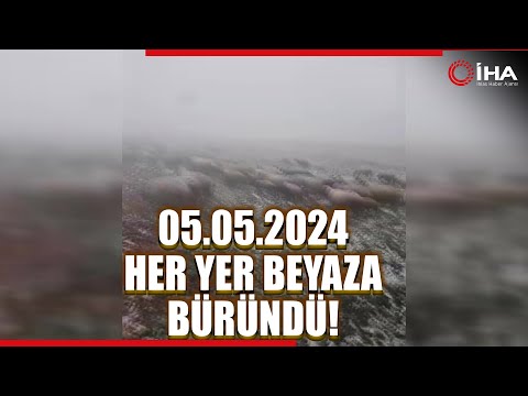 Tokat'ta Mayıs Karı Yaylayı Beyaza Bürüdü