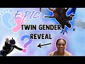 THE BEST TWIN GENDER REVEAL OF ALL TIME (2019)