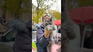 Собачий ринок Одеса Одесса котики цуценя #животные #милота #dog #dogs #счастье #собака #суперсобака