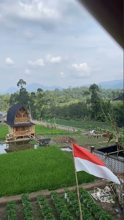 Persawahan, Bandung, Jawa Barat #bandung #lembang