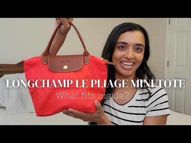 Longchamp Le Pliage - size comparisons/what fits inside