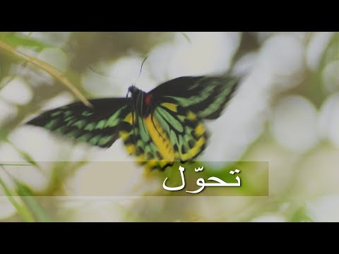 METAMORPHOSIS Arabic