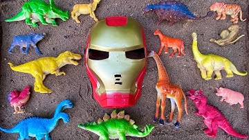 Rửa sạch các con vật, rùa, hươu cao cổ, voi, bò, sư tử, lạc đà, cá heo, chim cánh cụt, khủng long