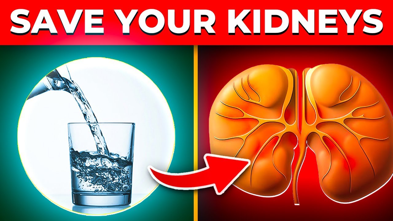 How To Naturally Decrease Creatinine And Save Your Kidneys YouTube How to naturally decrease creatinine and save your kidneys youtube