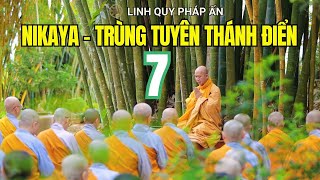 Trùng Tuyên Thánh Điển NIKAYA 7 (14.07.23) - Sách Tấn Tu Học