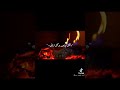 قريب هبقا واحد تاني قريب هبقا واحد تاني