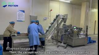 Elemotion Pouch Packaging Machine