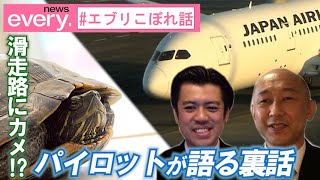 【仰天】成田空港の滑走路にカメ⁉️ パイロットが語る裏話