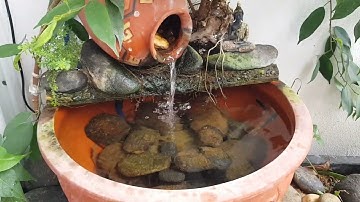 Đã tìm ra bí kíp giúp NƯỚC bể cá TRONG VẮT mà KHÔNG CẦN LỌC sau nhiều lần thử và thất bại