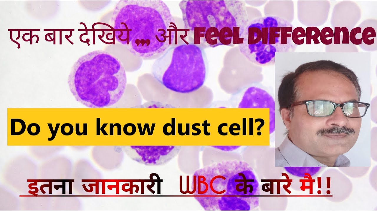 Detail Study of WBC or, Leucocytes in English and Hindi. Useful for CEE, NEET,+2 etc. by Abhay sir..