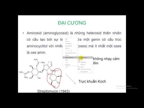 Video Kháng sinh họ aminosid - youtube