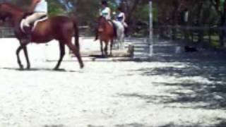 Lmao awesome bareback lesson!!Fall included!!23 lesson:]
