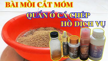CHIA SẺ BÀI MỒI CÂU CÁ CHÉP SIÊU QUẤN Ổ HỒ DỊCH VỤ #01 - Câu Cá và Cuộc Sống