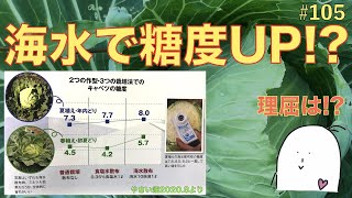 【#105】野菜に海水を与えると糖度が上がる理由は！？