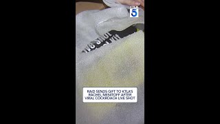 Raid sends gift to KTLA’s Rachel Menitoff after viral cockroach live shot