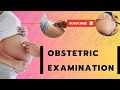 Obstetric abdominal examination  pregnant abdomen examination  four leopold maneuvers