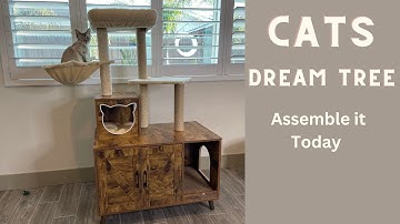 Unbelievable: Watch how your Cat Helps You Build the Ultimate Cat Litter Box Tree!