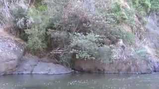 Pozones Río Lircay