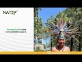 Créditos verificados de naturaleza positiva (CVNP) en el Market Place Virtual.