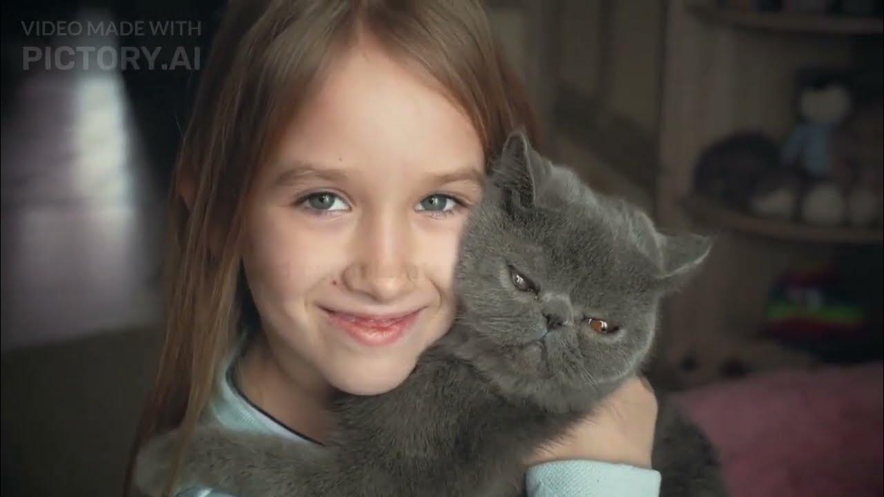 5 Best Cat Breeds for Families with Kids YouTube