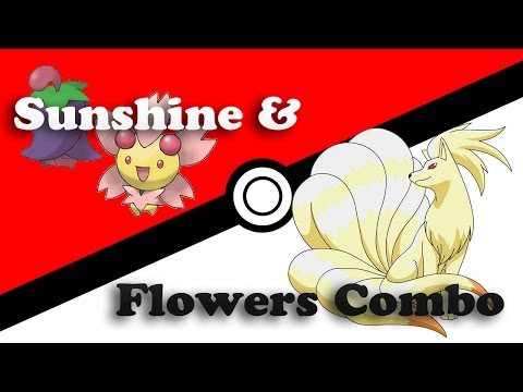 Flowers Sunshine Combo Cherrim Ninetales Alternatively Groudon Works Stunfisk