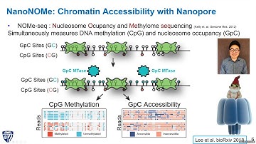 Using Nanopore Sequencing to Interrogate the Genome, Epigenome, and Transcriptome