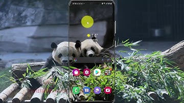 How change App permission to access Location in Samsung Galaxy S21, S21Plus, or S21 Ultra