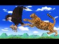 विशाल ईगल बर्ड खरगोश और चीता की लड़ाई Giant Eagle Cheetah and Rabbit - Hindi Kahaniya - हिंदी कहानिय