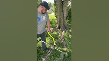 LOVE my EGO trimmer. #diy #shorts #ego #lawncare #lawn #weedwacker #hardwork