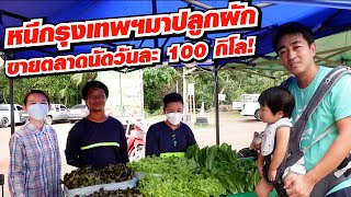 หนีกรุงเทพฯมาปลูกผักขายตลาดนัดวันละ 100 กิโล!!!