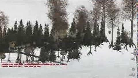 Arma 2 DayZ Mod see through map glitch