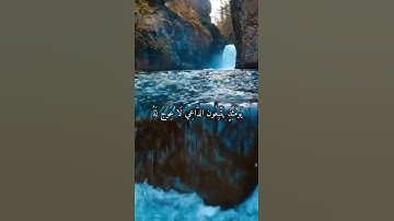 واتس اب قران كريم القارئ ياسر الدوسري من سورة (طه)