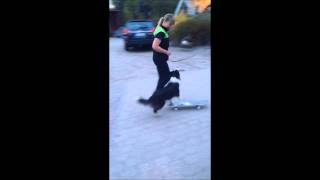Vanttu Learning Skateboarding
