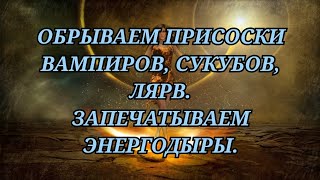 ОБРЫВАЕМ ПРИСОСКИ ВАМПИРОВ, СУКУБОВ И ЛЯРВ. ЗАПЕЧАТЫВАЕМ ЭНЕРГОДЫРЫ. +79607714230